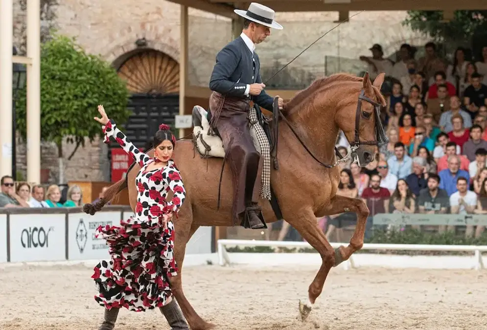 Equestrian show at the Caballerizas Reales de Córdoba with Andalusian horses