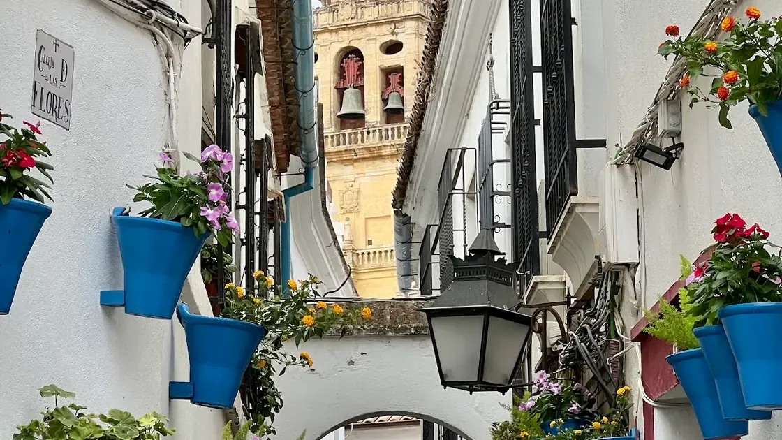 View of Calleja de las Flores