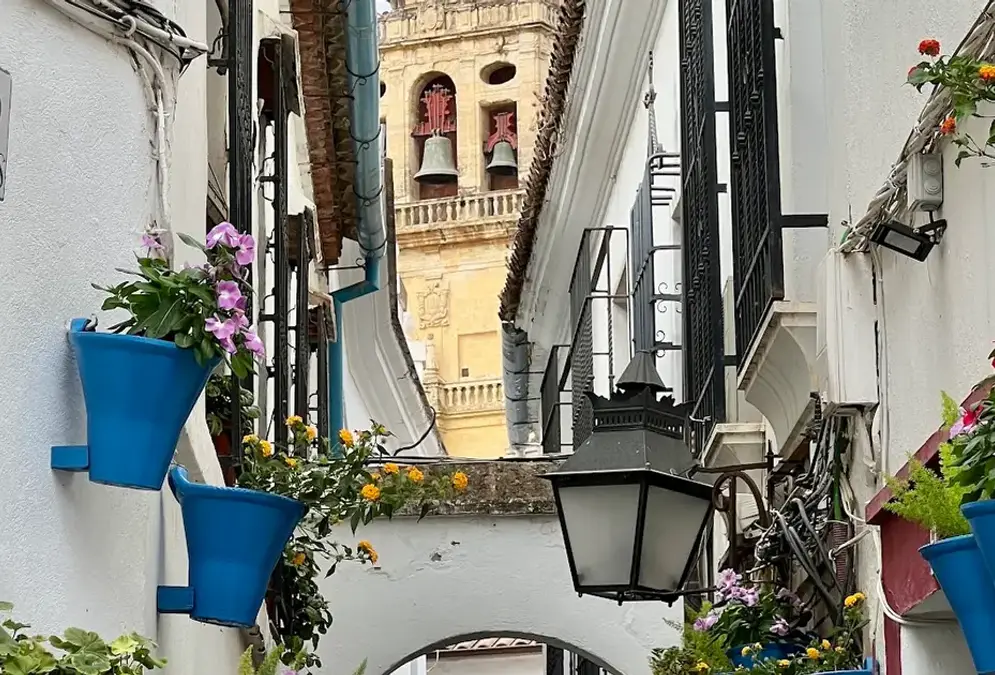 View of Calleja de las Flores