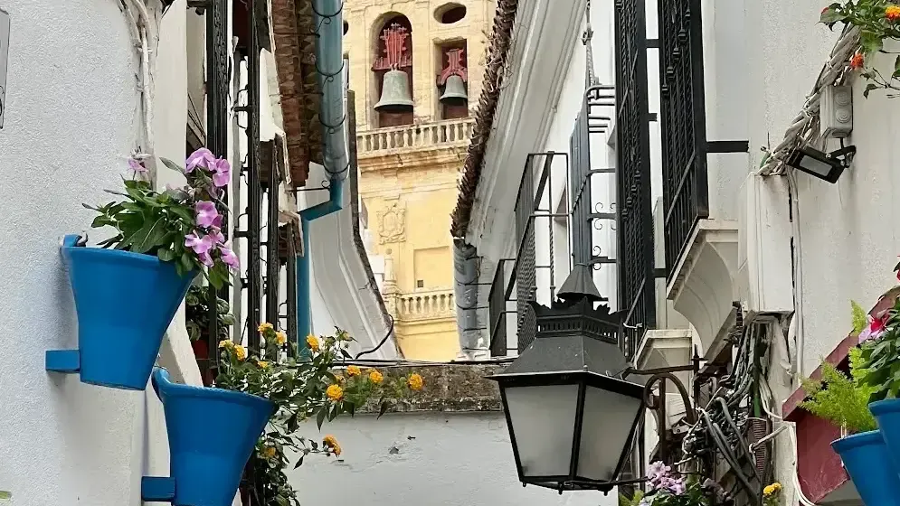 Calleja de las Flores
