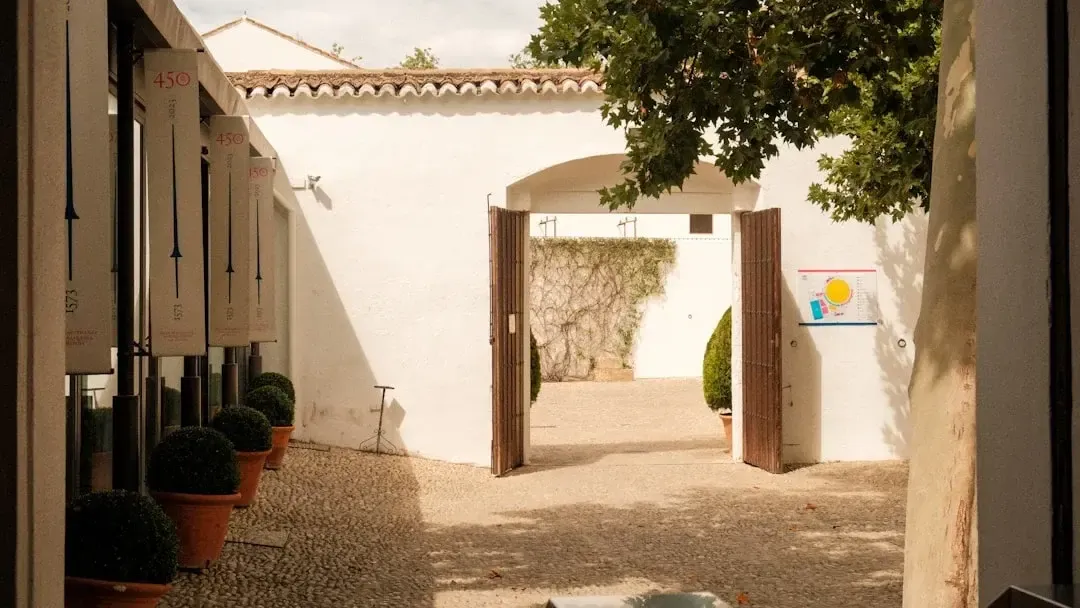 Wine tasting in Montilla-Moriles