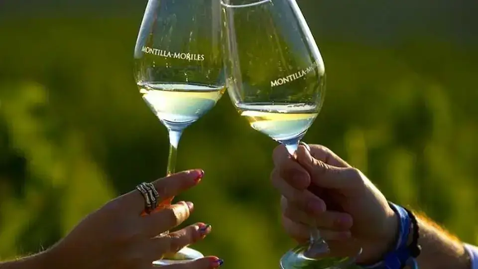 Wine tasting of Montilla-Moriles wines in a historic bodega near Córdoba