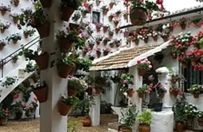 Flower-filled patio with red geraniums and jasmine at the Córdoba Patio Festival