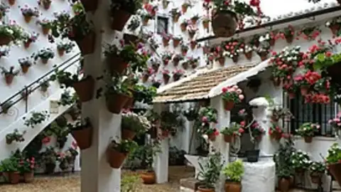 Flower-filled patio with red geraniums and jasmine at the Córdoba Patio Festival