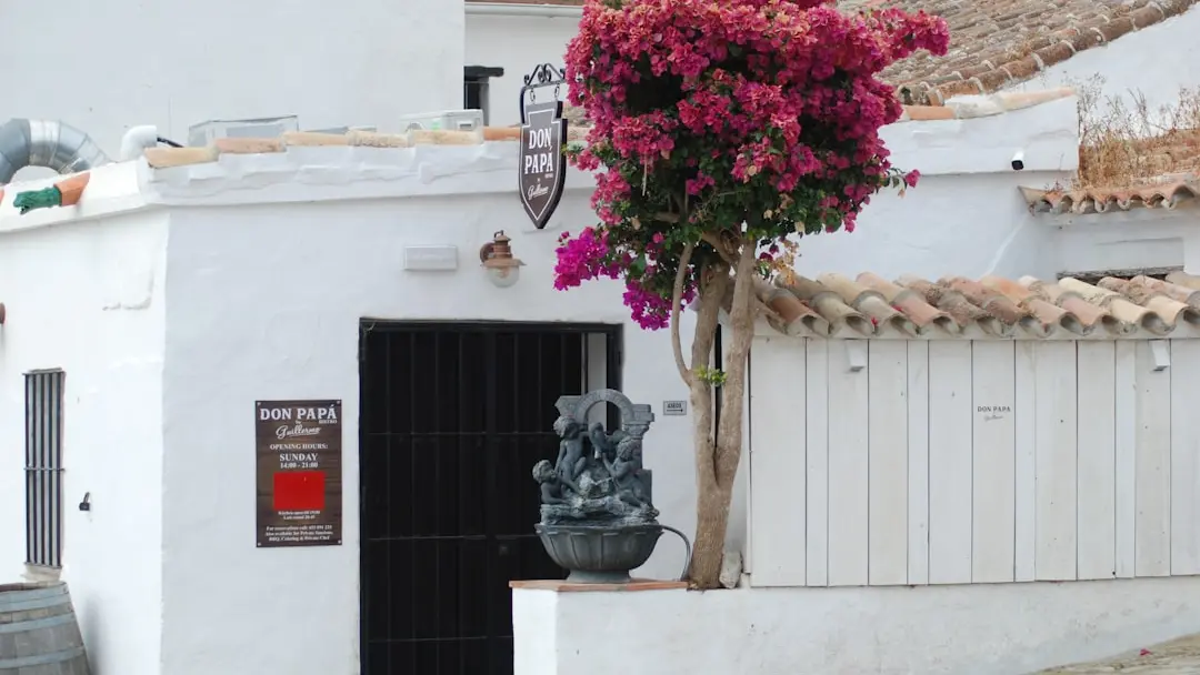 Flamenco dancer performing at an intimate tablao in Córdoba