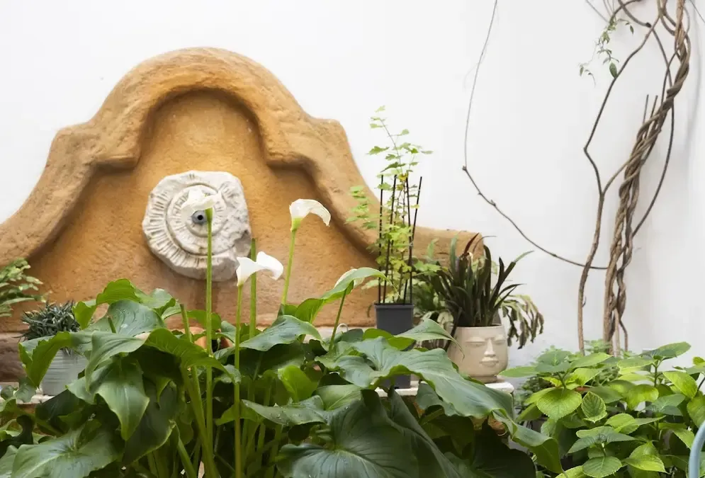 Orange-tree patio of La Llave de la Judería with fountain and whitewashed houses
