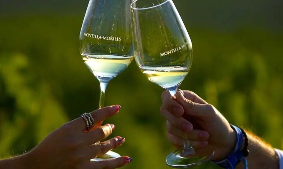 Pedro Ximénez vineyards in the Montilla-Moriles wine region