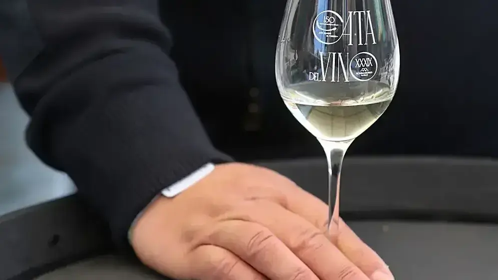 Montilla-Moriles Wine Tasting