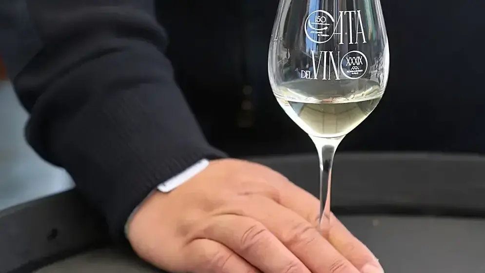 Montilla-Moriles Wine Tasting - Córdoba