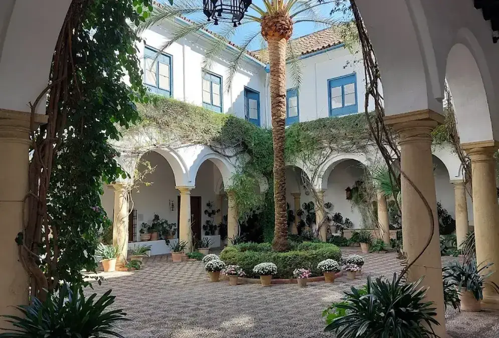Sunlit courtyard at the Palacio de Viana, Córdoba, with terracotta pots, orange trees, and climbing roses
