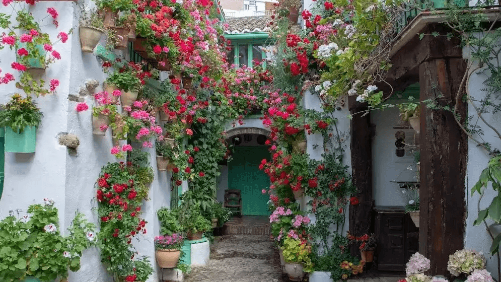 Traditional crafts and flower-filled patios in the San Basilio neighbourhood