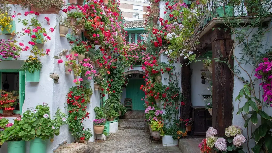 Patios de San Basilio