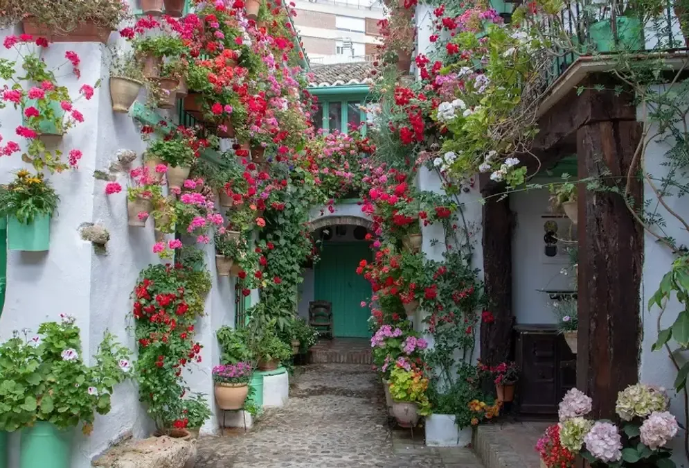 View of Patios de San Basilio