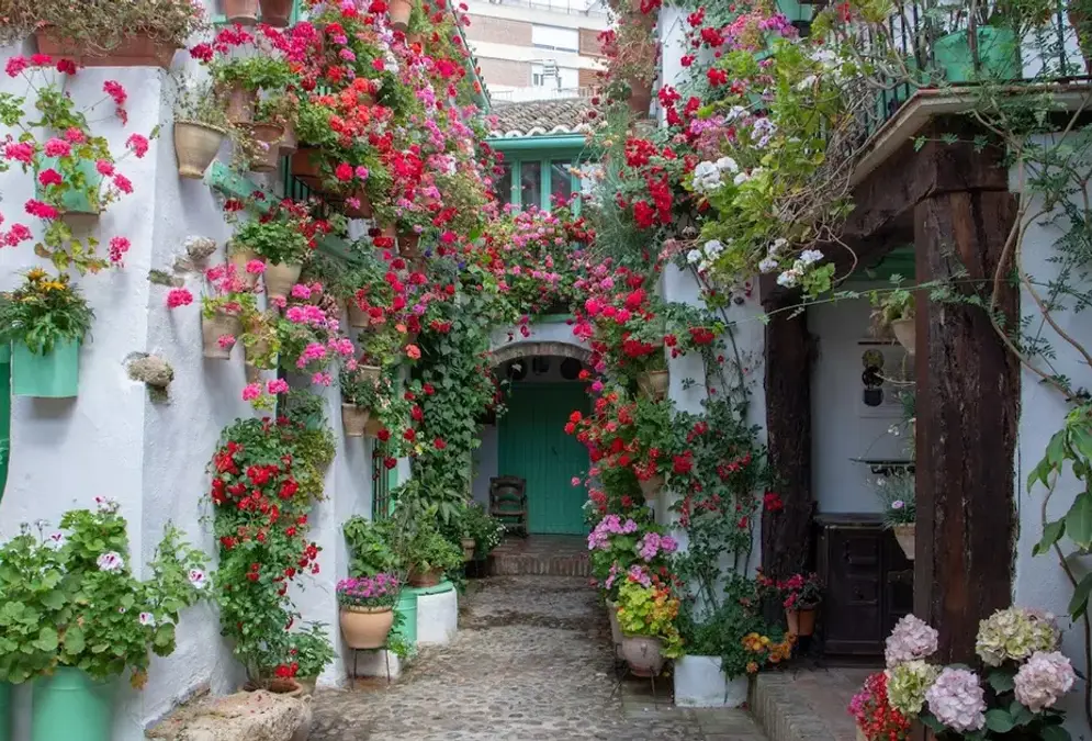 View of Patios de San Basilio