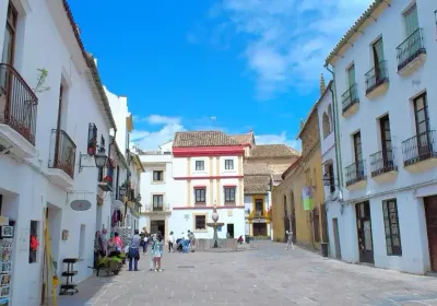 Plaza del Potro with its Renaissance fountain and historic facades