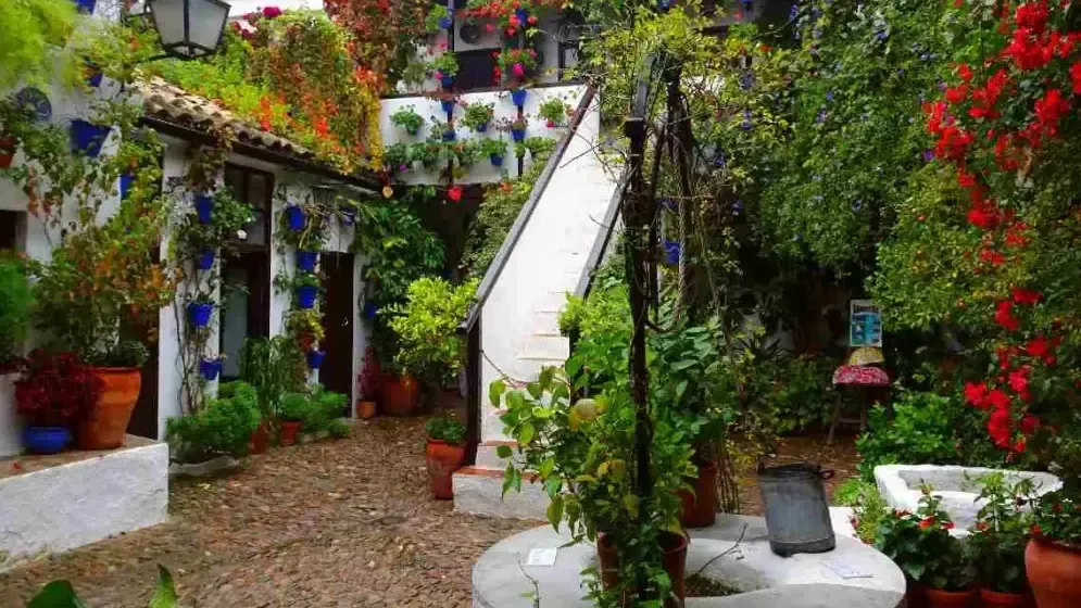 Traditional Cordovan patio with red geraniums, whitewashed walls and central fountain