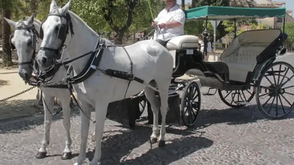 Horse-drawn carriage in front of the Mezquita-Cathedral of Córdoba with tourists aboard