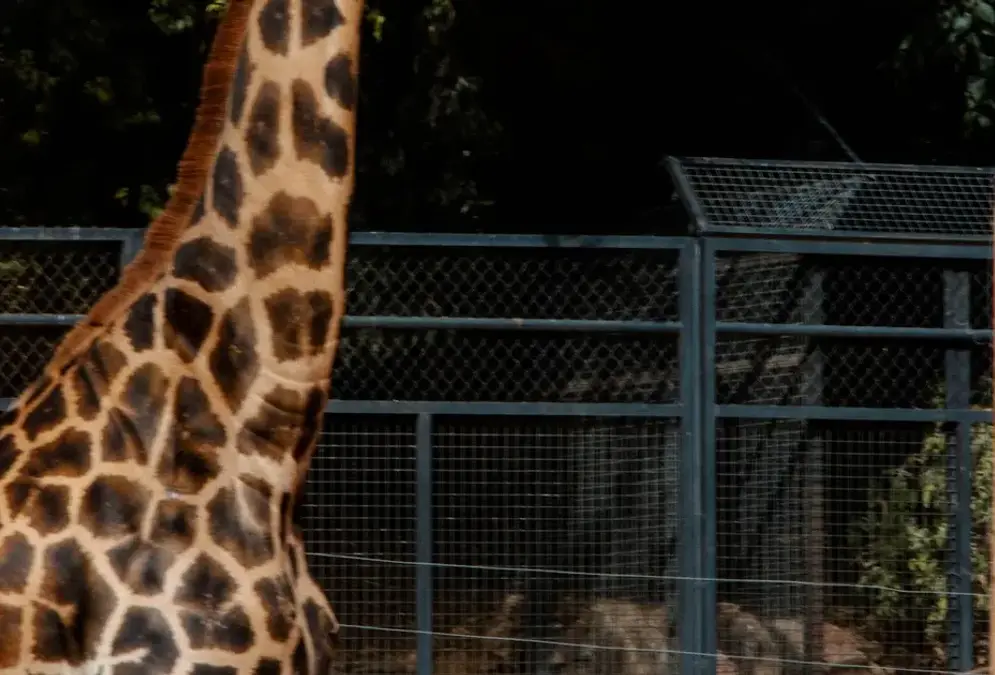 View of Zoo de Córdoba