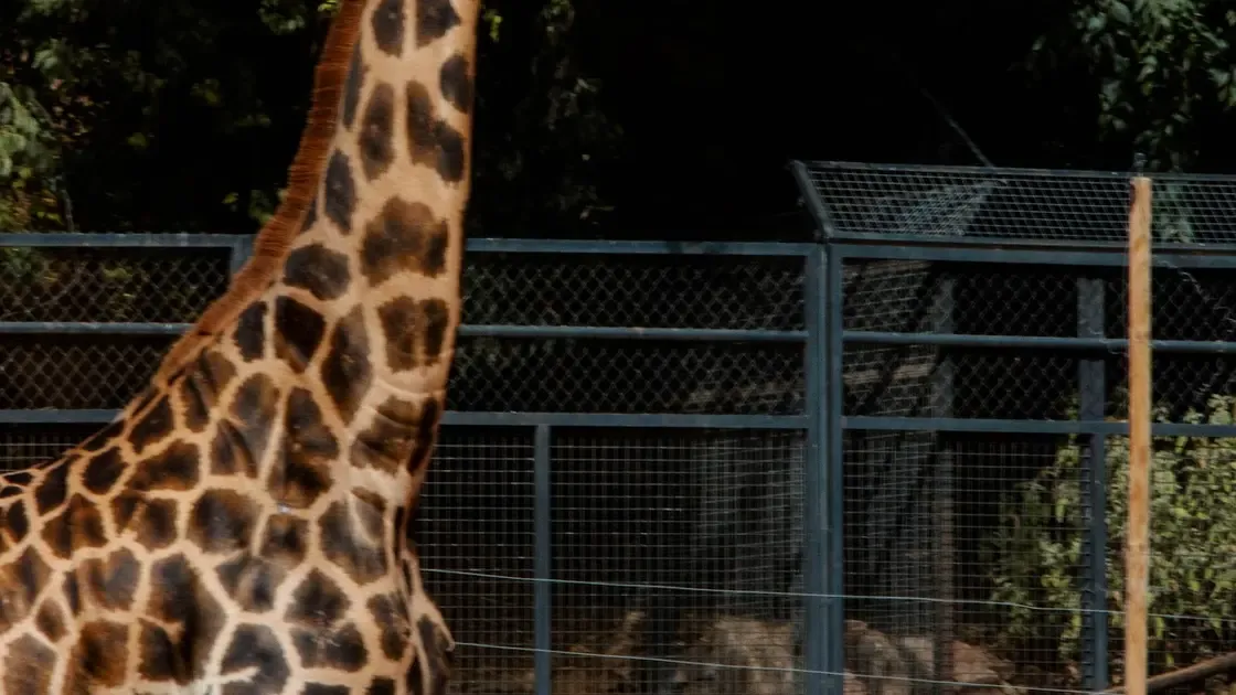 View of Zoo de Córdoba