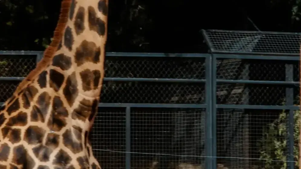 View of Zoo de Córdoba