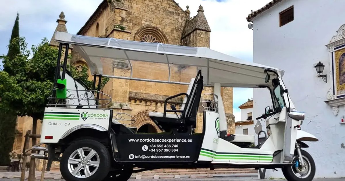 Guided City Tour by Tuk-Tuk