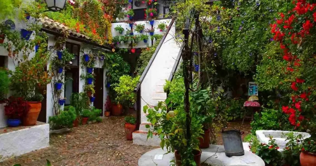 Authentic Patios: 2-Hour Tour